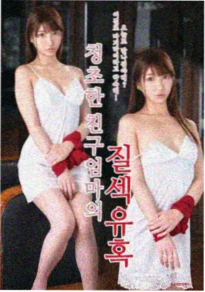 第九个证人 剧集封面